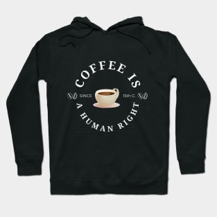 Coffee is a human right (Since 15th Century) Funny Coffee Lover Quote Hoodie